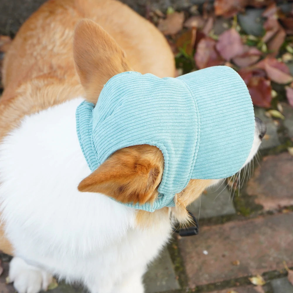 Adjustable Dog Sun Baseball Cap