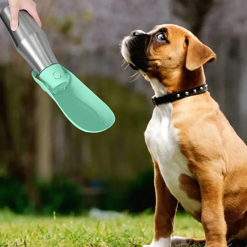 Portable Dog Water Dispenser Bottle