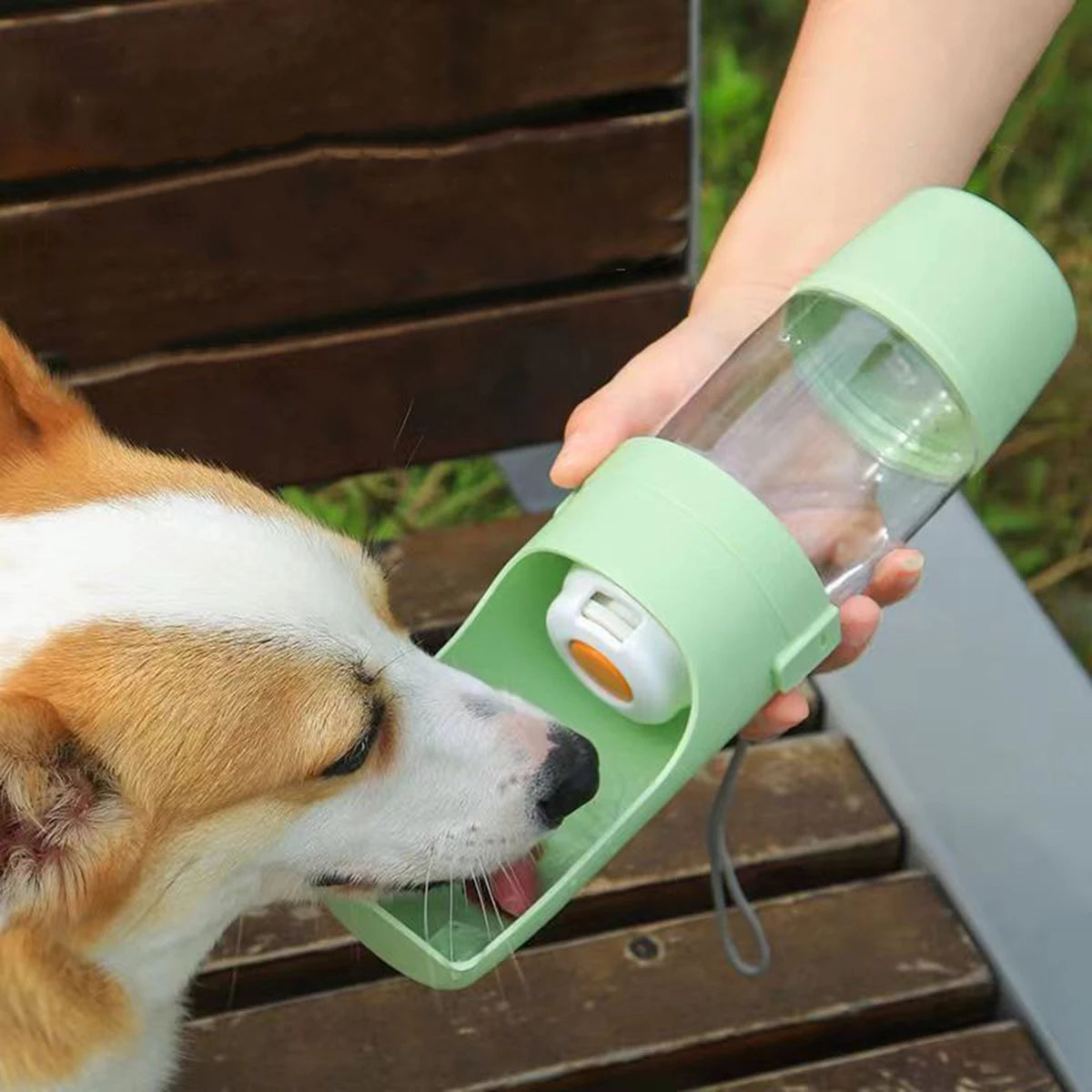 Portable Dog & Cat Water Bottle with Food Storage