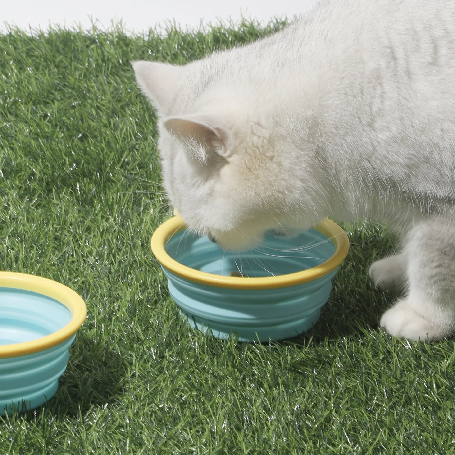 Portable Foldable Pet Bowl 350ml