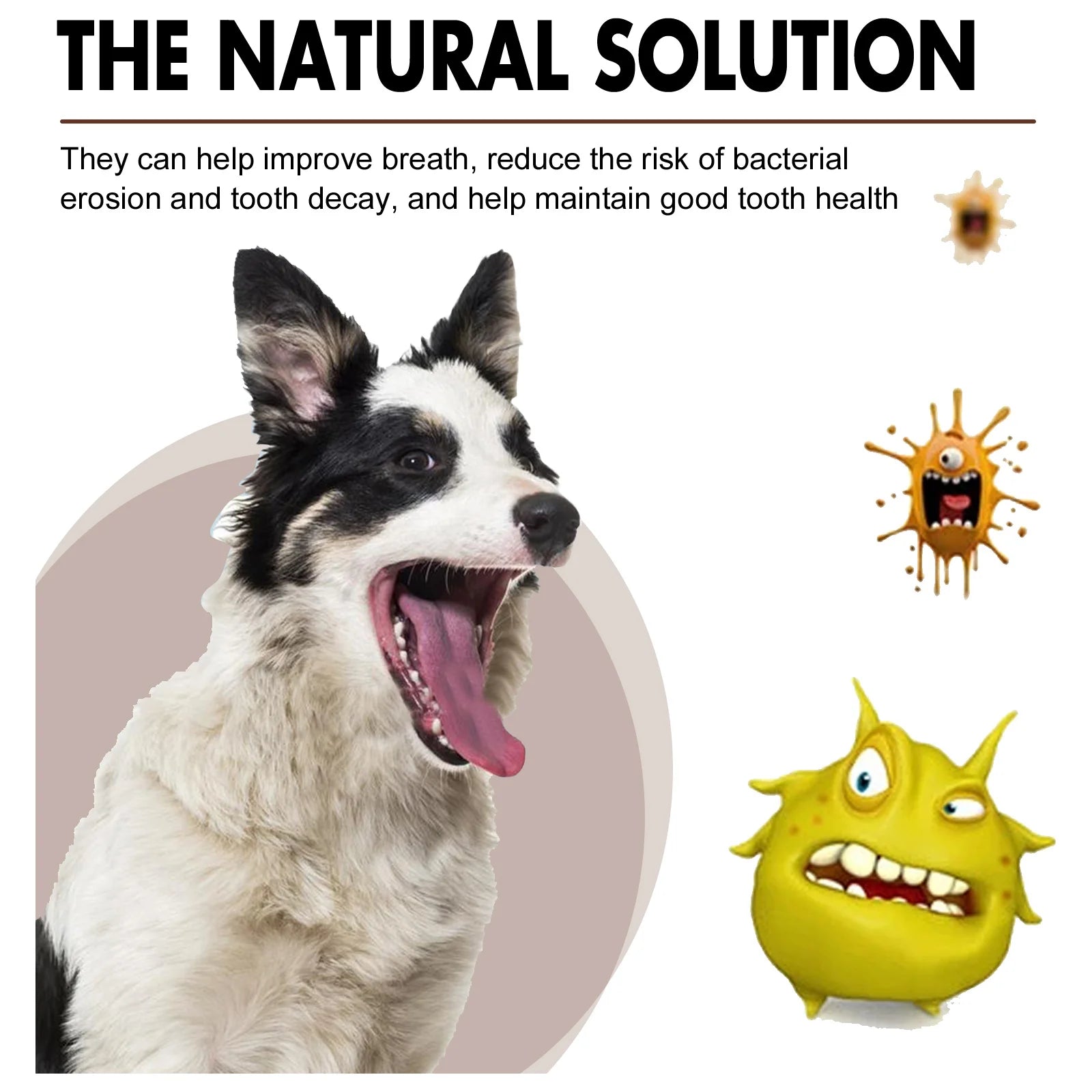 Pet Dental Care Fresh Breath Spray 30ml