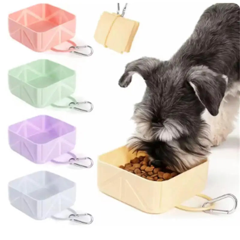 Portable Foldable Dog Bowl