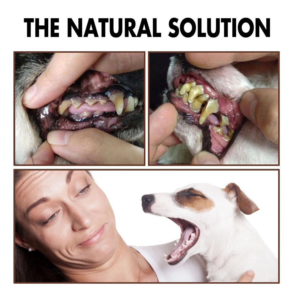 Pet Dental Care Fresh Breath Spray 30ml